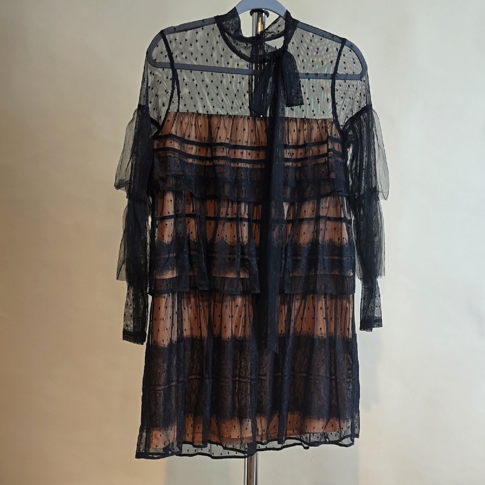 Elegant black Sheer Dress, Wednesday Addams vibe, sz 4 (see measurements)